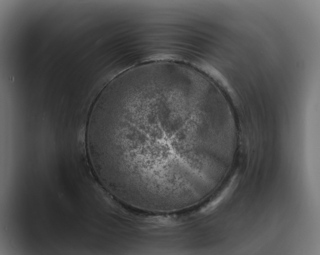 X0000089710937200706281510