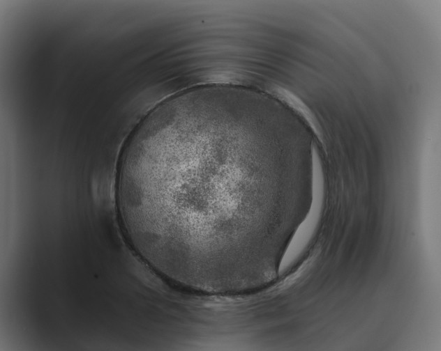 X0000089710938200706281510