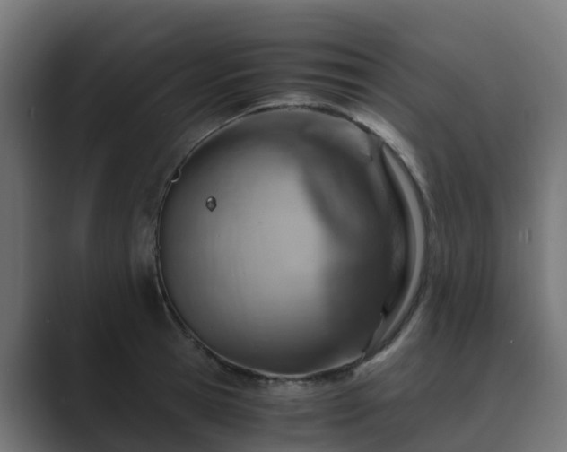 X0000089710945200706281510