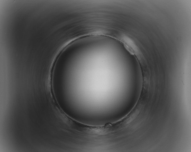 X0000089710948200706281510