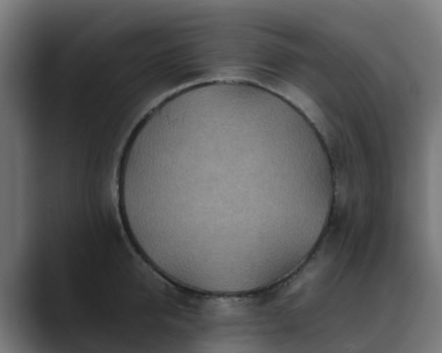 X0000089710950200706281510