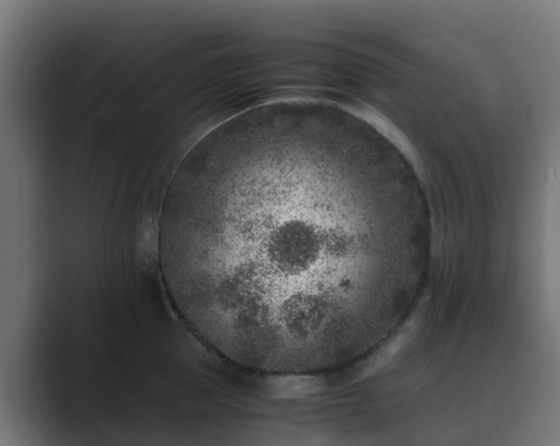 X0000089710953200706281510