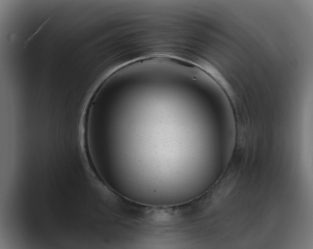 X0000089710955200706281510