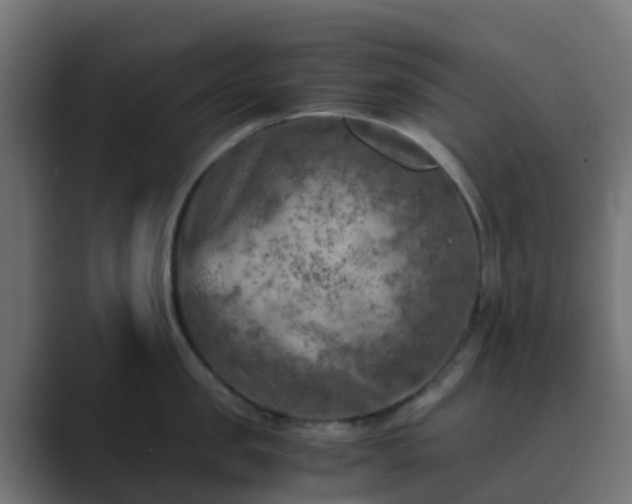 X0000089710957200706281510