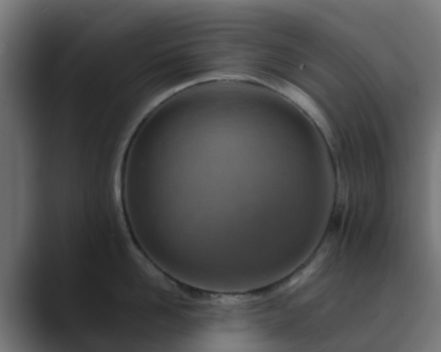 X0000089710958200706281510