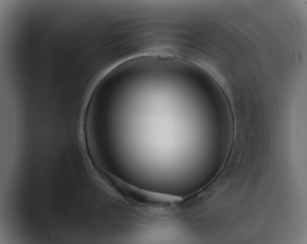 X0000089710960200706281510