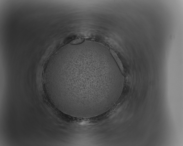 X0000089710961200706281509