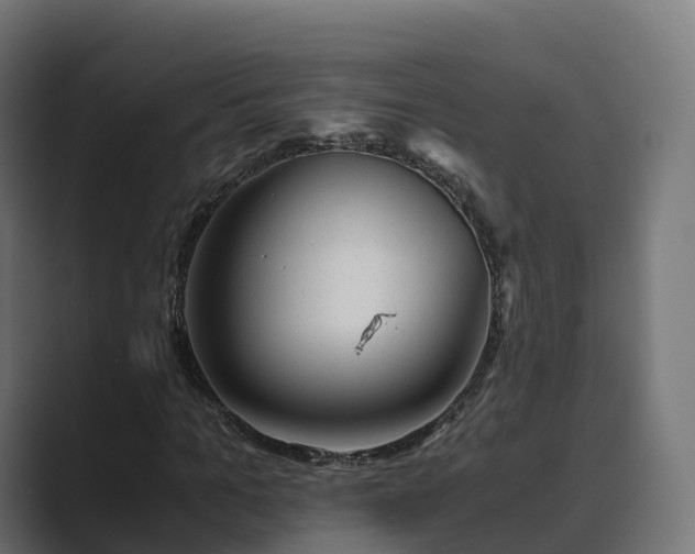 X0000089710965200706281509