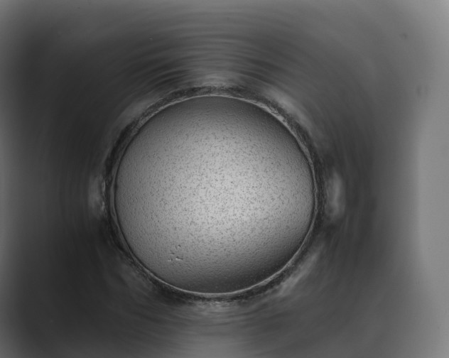 X0000089710970200706281509