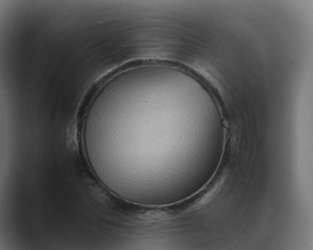 X0000089710974200706281509