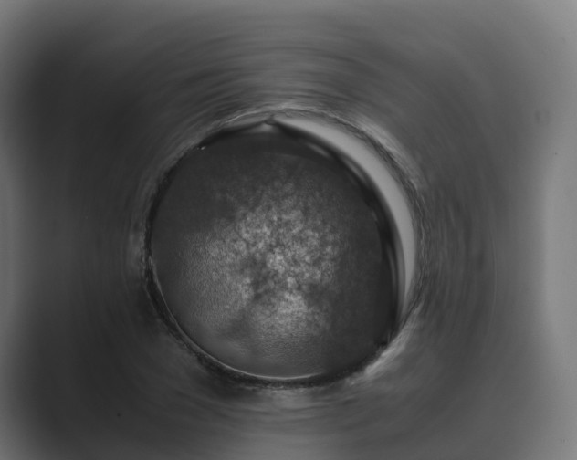 X0000089710977200706281509