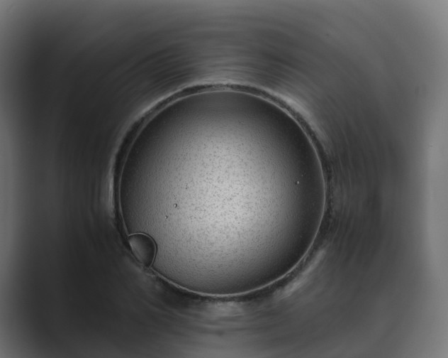 X0000089710982200706281509