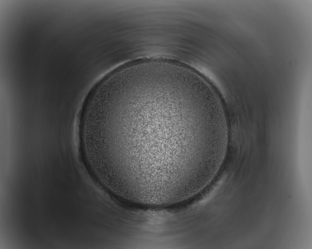 X0000089710983200706281509