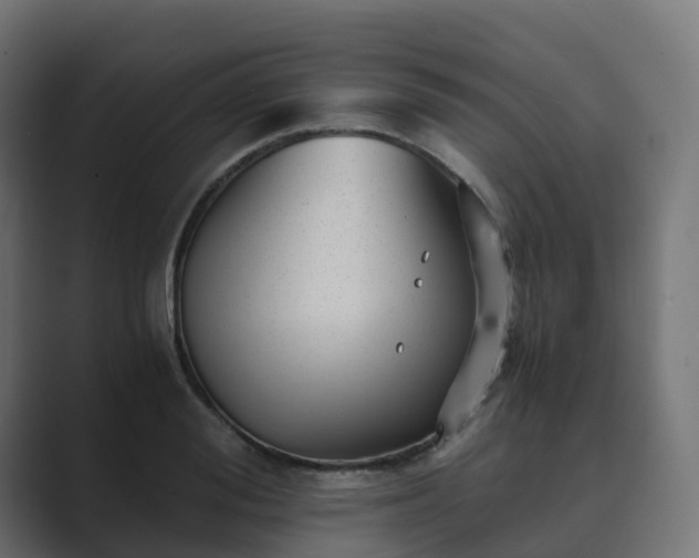 X0000089710988200706281509