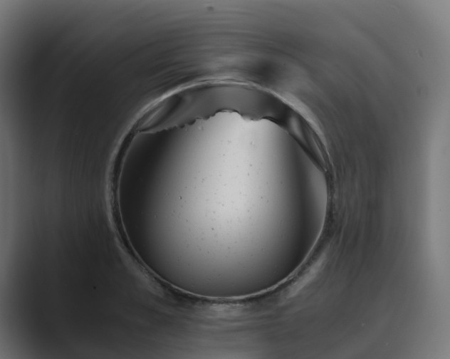 X0000089710989200706281509