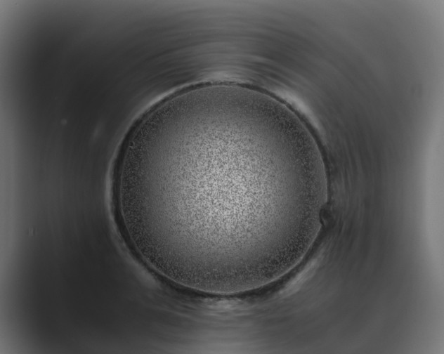 X0000089710991200706281509