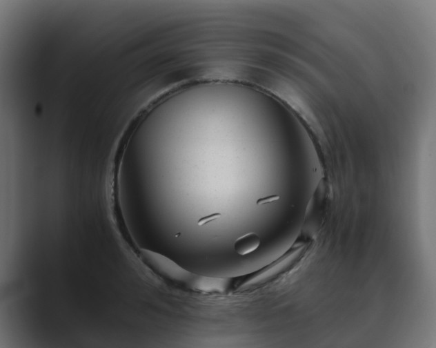 X0000089710992200706281509