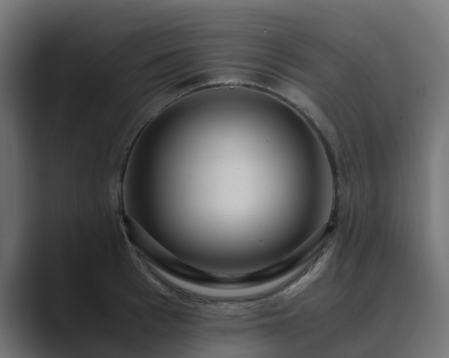 X0000089710993200706281509