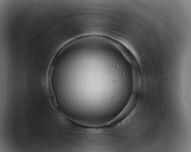 X0000089710996200706281509