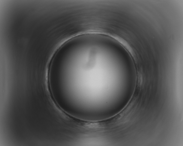 X0000089711006200706281509