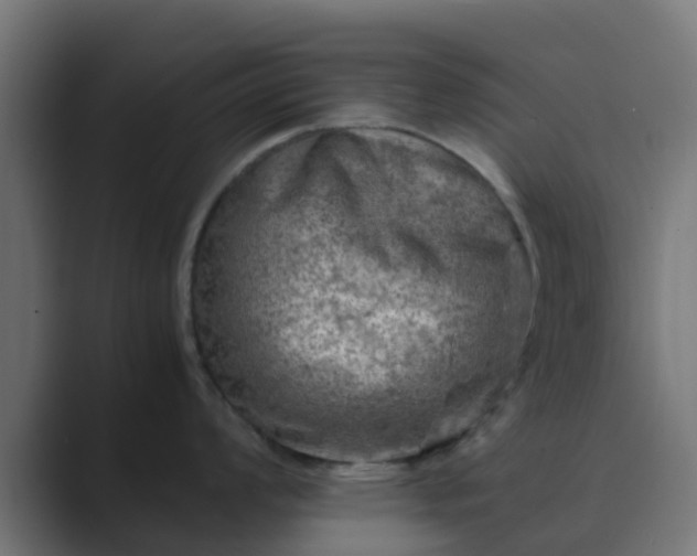 X0000089711008200706281509