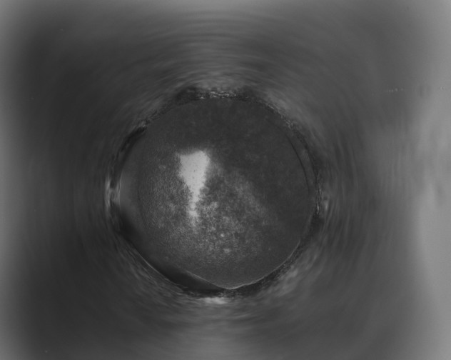 X0000089711010200706281508