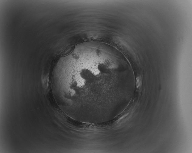 X0000089711011200706281508