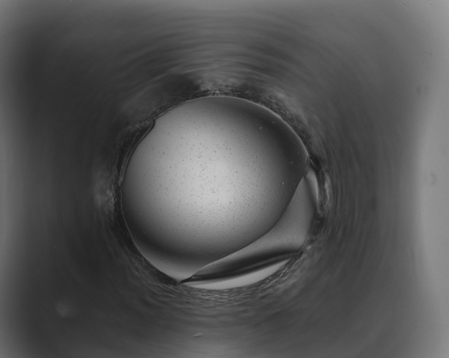 X0000089711012200706281508