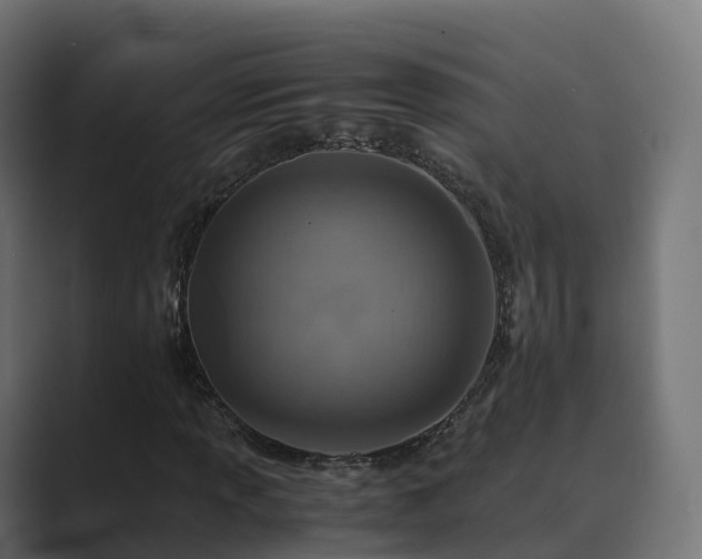 X0000089711013200706281508