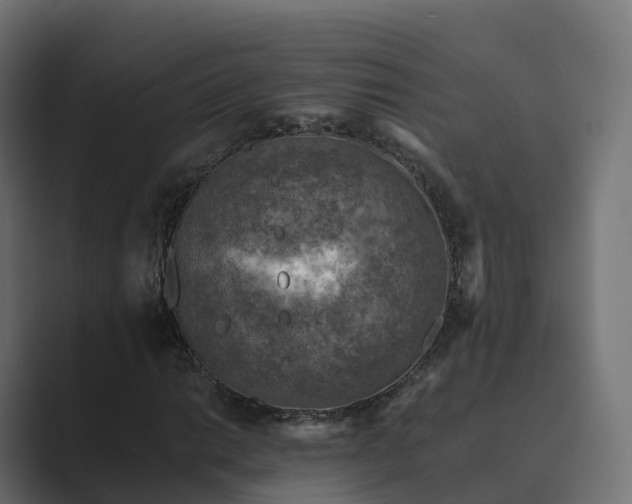 X0000089711014200706281508