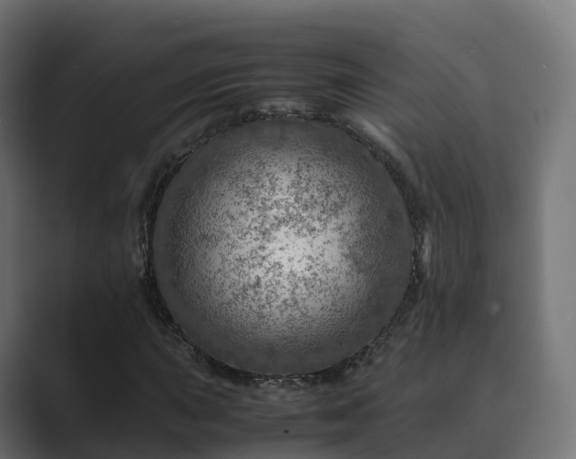 X0000089711015200706281508