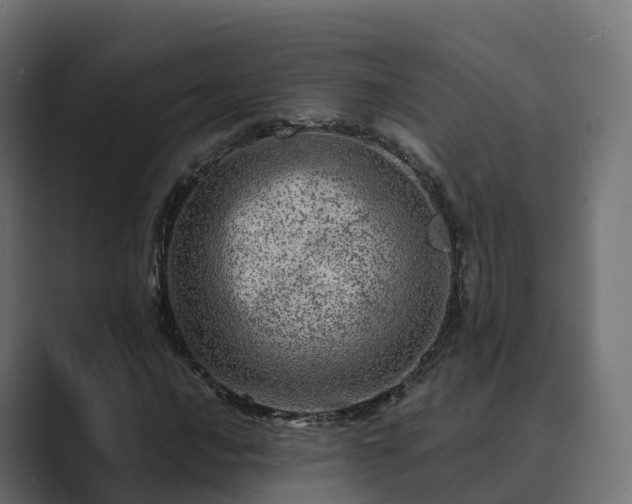 X0000089711016200706281508