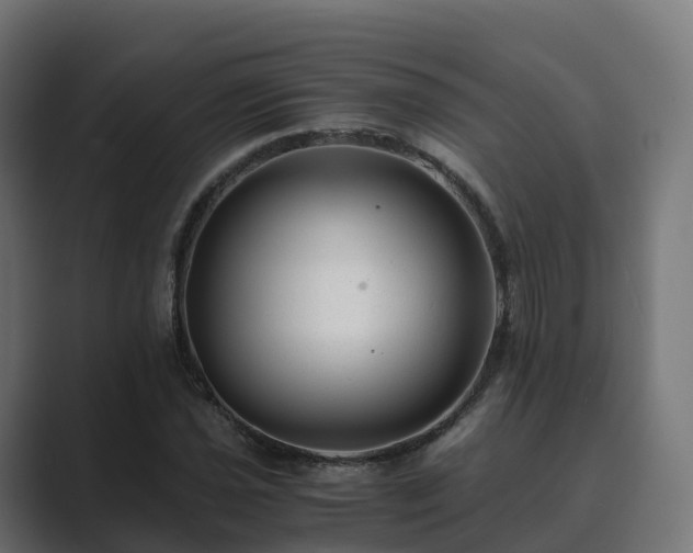 X0000089711021200706281508