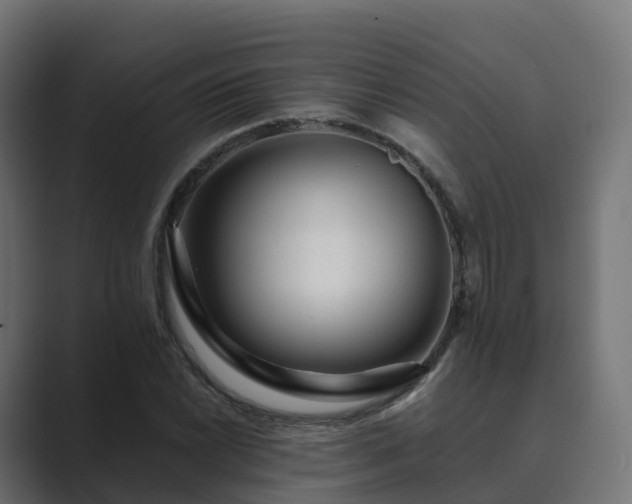 X0000089711022200706281508