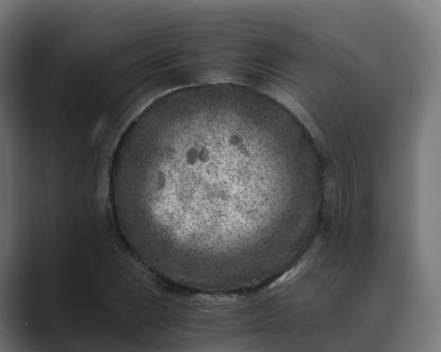 X0000089711023200706281508