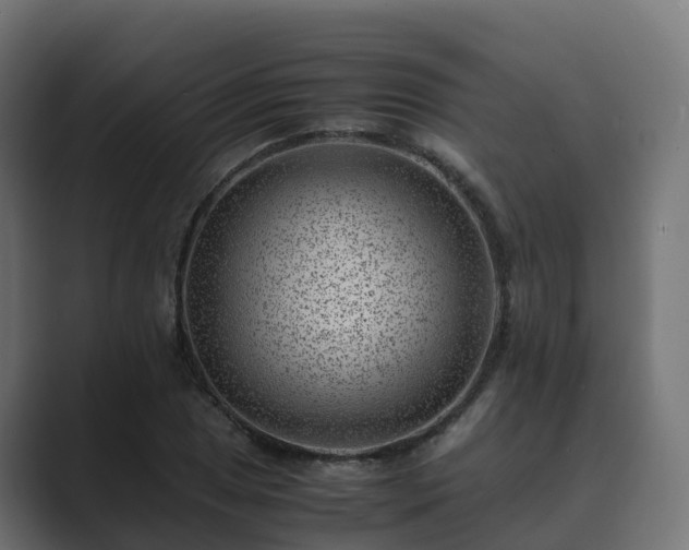 X0000089711025200706281508