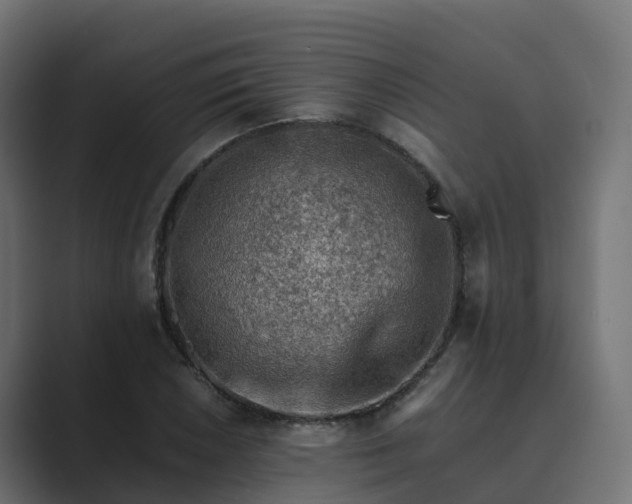 X0000089711026200706281508