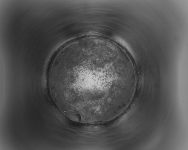 X0000089711027200706281509