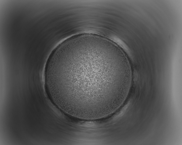 X0000089711028200706281509