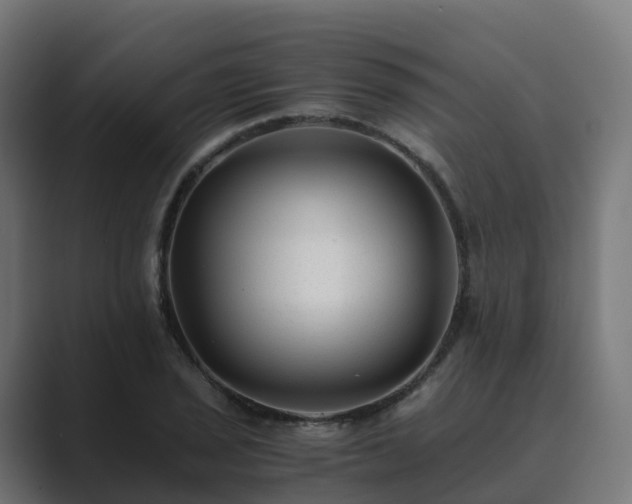 X0000089711029200706281509