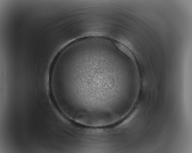 X0000089711030200706281509