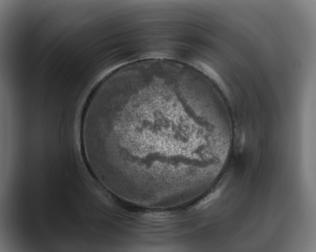 X0000089711035200706281509