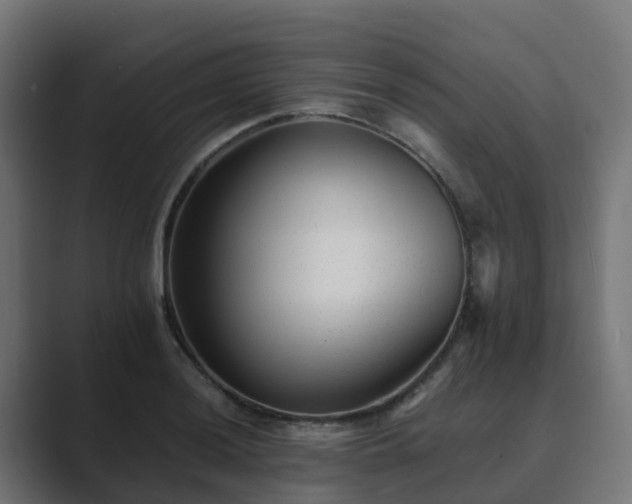 X0000089711036200706281509