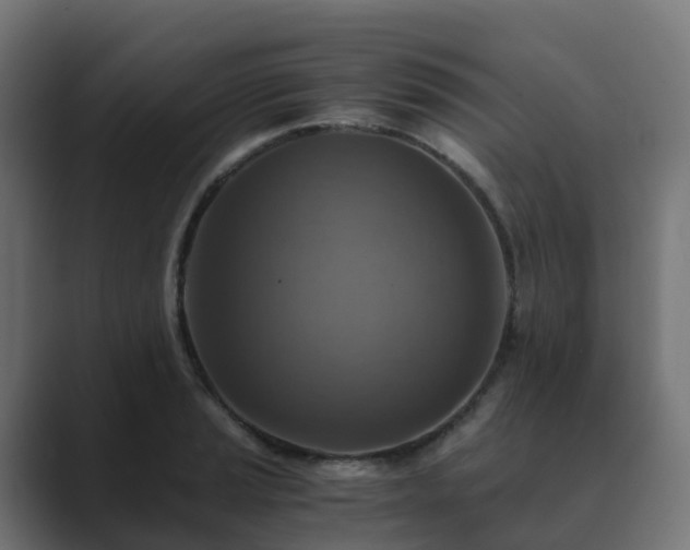 X0000089711037200706281509