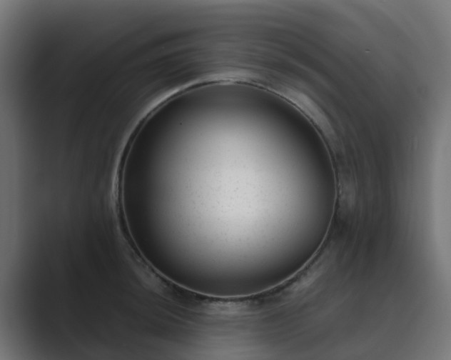 X0000089711044200706281509