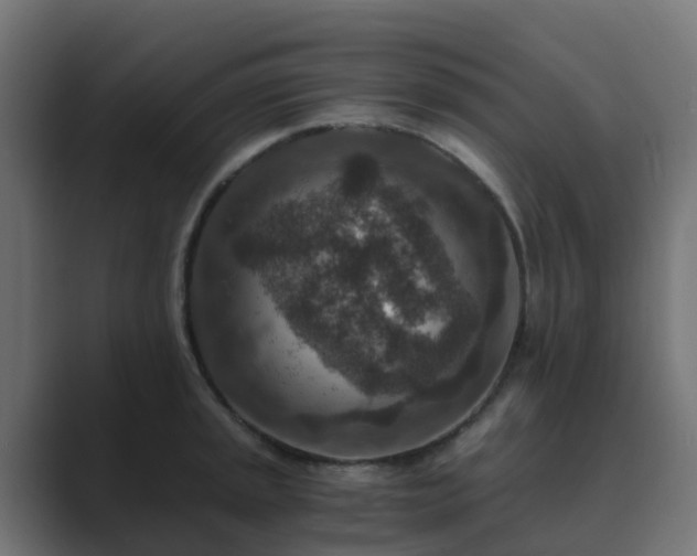 X0000089711045200706281509