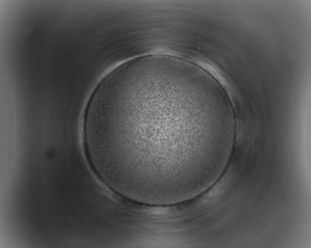 X0000089711048200706281509