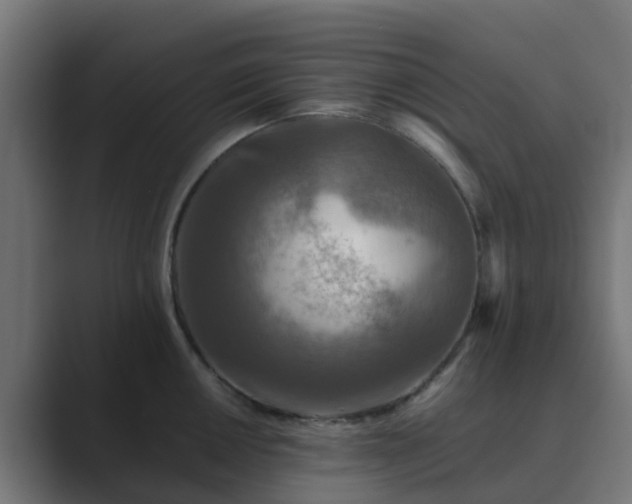 X0000089711050200706281509