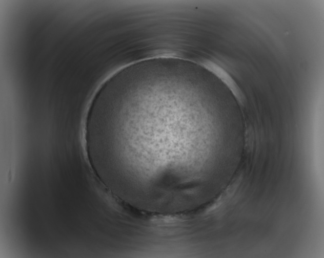 X0000089711051200706281509