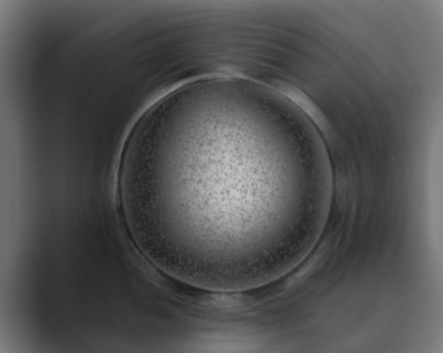 X0000089711052200706281509